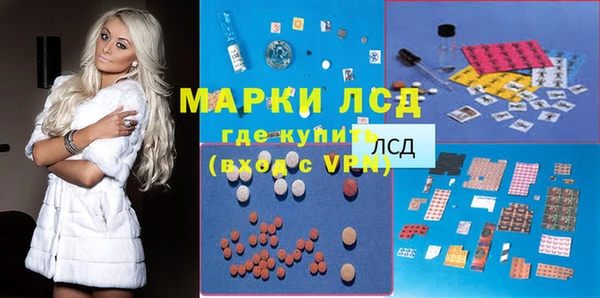 шишки Алзамай