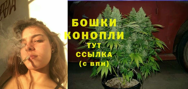 шишки Алзамай