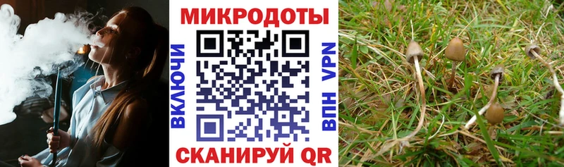 Псилоцибиновые грибы MAGIC MUSHROOMS  цены наркотик  Нытва 